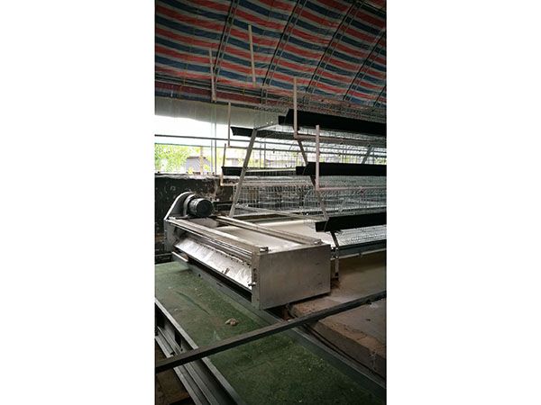 蛋雞清糞機(jī)